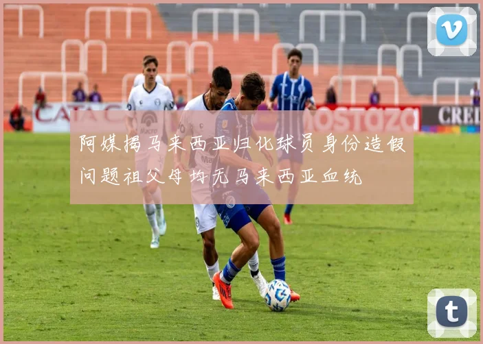阿媒揭马来西亚归化球员身份造假问题祖父母均无马来西亚血统